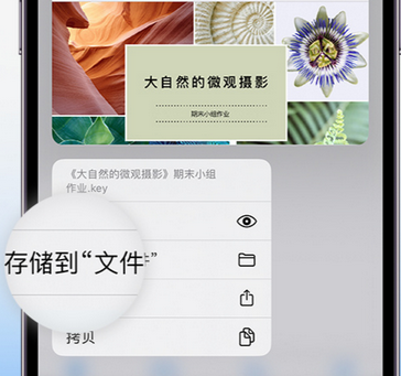 温宿apple维修中心分享iPhone文件应用中存储和找到下载文件