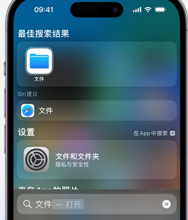 温宿apple维修中心分享iPhone文件应用中存储和找到下载文件