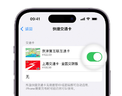 温宿apple维修点分享iPhone上更换Apple Pay快捷交通卡手绘卡面 