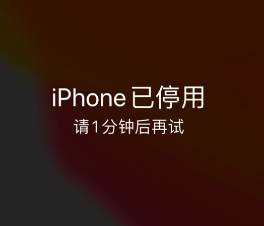 温宿苹果手机维修分享:iPhone 显示“不可用”或“已停用”怎么办？还能保留数据吗？ 