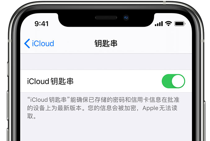 温宿苹果手机维修分享在 iPhone 上开启 iCloud 钥匙串之后会储存哪些信息 