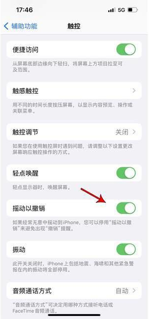 温宿苹果手机维修分享iPhone手机如何设置摇一摇删除文字 